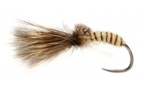 Procter's Caddis Emerger Cream B/L Procter's Caddis Emerger Cream B/L, Size 14