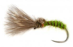 Procter's Caddis Emerger Green B/L Procter's Caddis Emerger Green B/L, Size 14