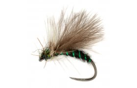 Procter's CDC APT B/L Procter's CDC APT B/L, Size 14