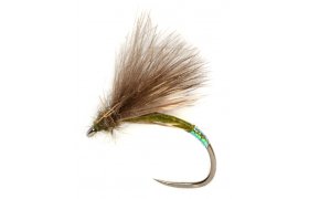 Procter's Cul D Canon B/L Procter's Cul D Canon B/L, Size 14