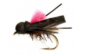 Procter's Flip Flop Pink Procter's Flip Flop Pink, Size 8