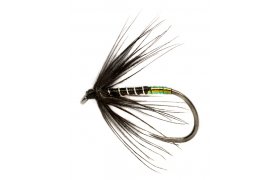 Procter's Pearly Butt Black Spider B/L Procter's Pearly Butt Black Spider B/L, Size 14