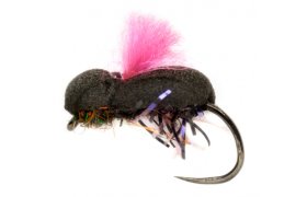 Procter's Target Beetle Pink B/L Procter's Target Beetle Pink B/L, Size 12
