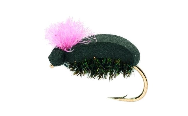 Procter Target Beetle Pink Procter Target Beetle Pink, Size 14