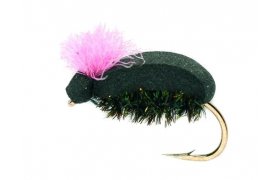 Procter Target Beetle Pink Procter Target Beetle Pink, Size 12