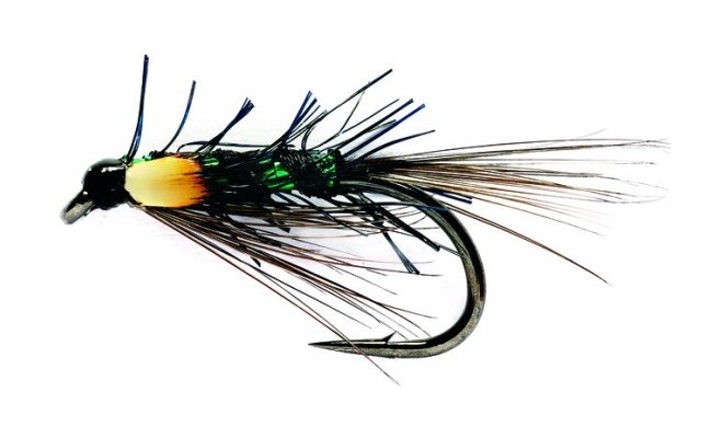Pseudo DB Black Green Holo Pseudo DB Black Green Holo, Size 10