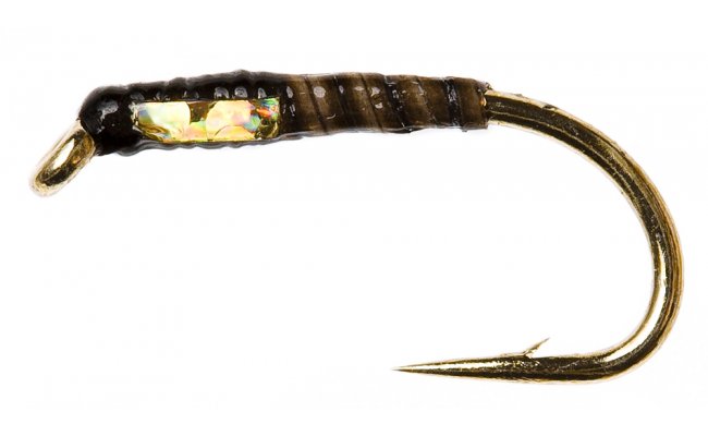 Quill Buzzer Black Quill Buzzer Black, Size 12