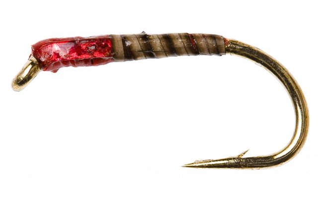 Quill Buzzer Red Quill Buzzer Red, Size 12