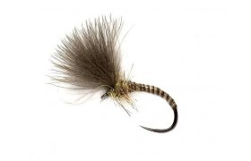 Quill CdC Emerger Natural Quill CdC Emerger Natural, Size 14
