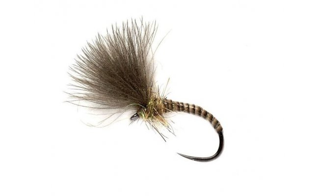 Quill CdC Emerger Natural Quill CdC Emerger Natural, Size 14