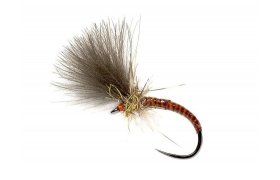 Quill CdC Emerger Orange Quill CdC Emerger Orange, Size 14