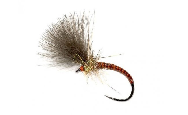 Quill CdC Emerger Orange Quill CdC Emerger Orange, Size 14