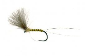 Quill Plume Tip Dry Quill Plume Tip Dry, Size 17