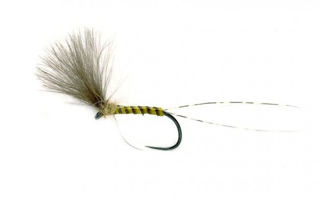 Quill Plume Tip Dry Quill Plume Tip Dry, Size 17