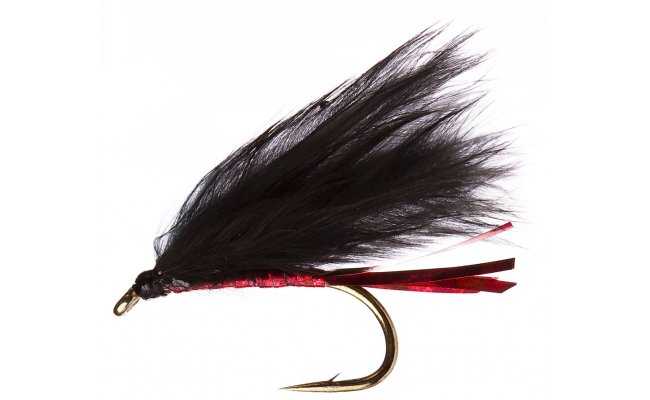 Red Cormorant Red Cormorant, Size 10