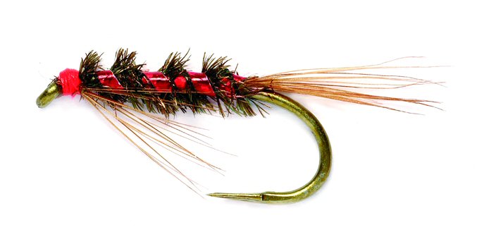 Mixed 10/12 Fishing Flies 6 x Goldhead Diawl Bach Diawl Bach Nymphs Trout fly 