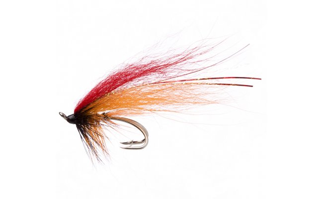 Red Templedog Red Templedog, Size 9