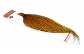Rooster 1/2 Cape Whiting Bronze Grade Rooster 1/2 Cape Whiting Bronze Grade Barred Dark Ginger