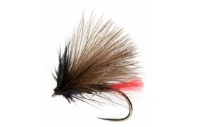 Roza's Fire Sedge B/L Roza's Fire Sedge B/L, Size 14