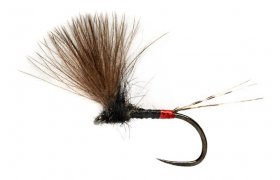 Roza's French V-Wing Dun B/L Roza's French V-Wing Dun B/L, Size 16