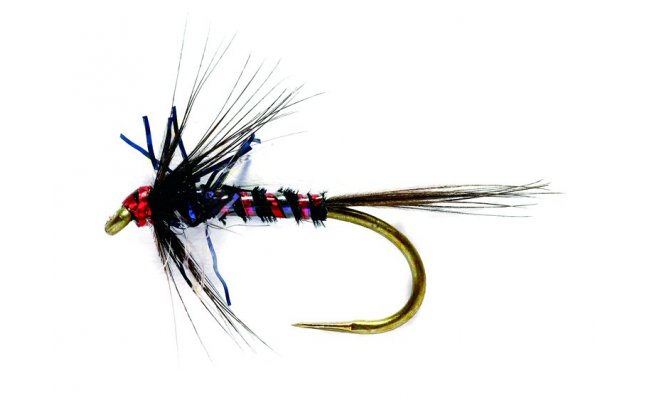 RS Nemo Black RS Nemo Black, Size 10