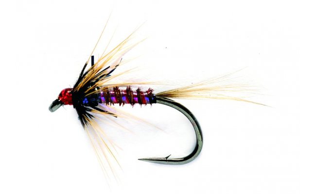 RS Nemo RS Nemo, Size 10