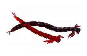 Rubber Lures Westin BloodTeez Worm 7.5 cm Rubber Lures Westin BloodTeez Worm 7.5 cm Bloodworm, 6 pcs