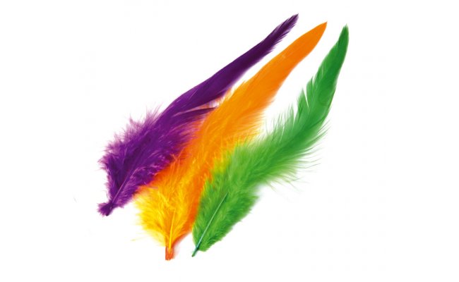 Schlappen Feathers Veniard Dyed Schlappen Feathers Veniard Dyed Bleached White