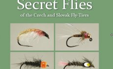 Secret Flies Book Cover
