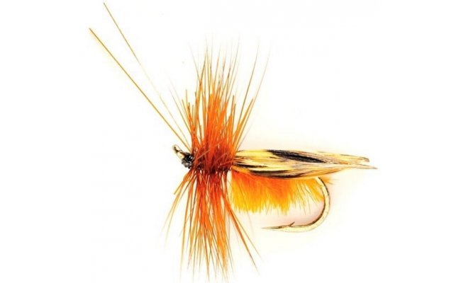 Sedge Saville Super Cinnamon Sedge Saville Super Cinnamon, Size 10