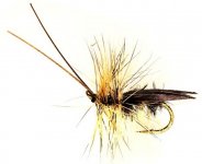 Sedge Saville Super Silver
