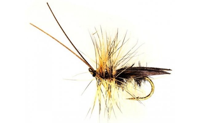 Sedge Saville Super Silver Sedge Saville Super Silver, Size 10