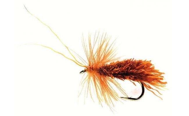 Sedge Ultimate Sedge Ultimate, Size 12