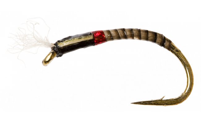 SH Quill Buzzer Olive SH Quill Buzzer Olive, Size 12