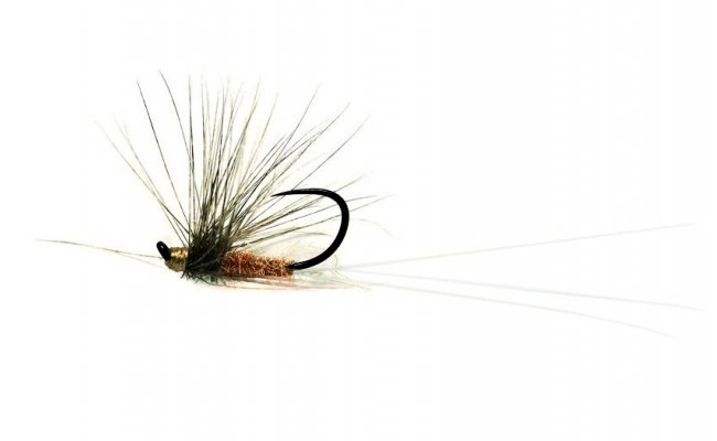 Shery Spinner (Lapsley) Shery Spinner (Lapsley), Size 17