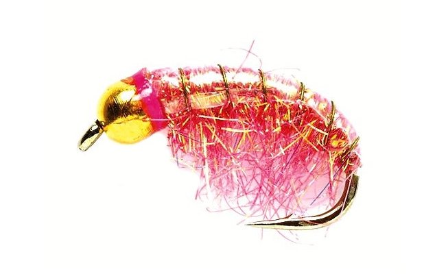 Shrimp Pink Shrimp Pink, Size 8