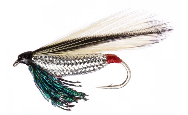 Silver Darter Silver Darter, Size 10