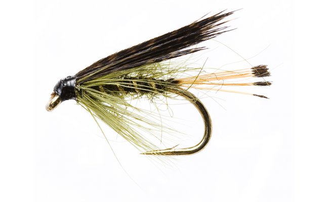 Sooty Olive Sooty Olive, Size 12