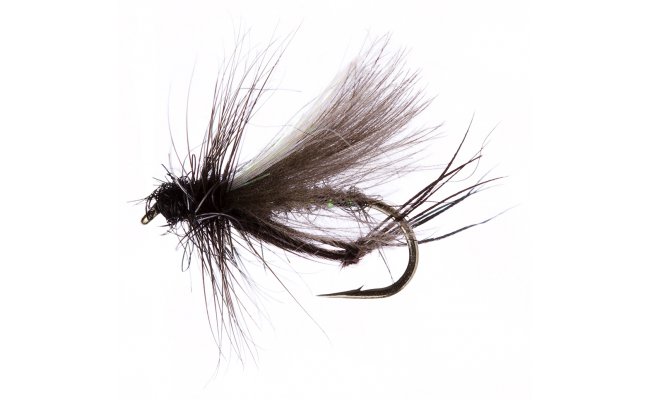 Sparkle Hawthorn Sparkle Hawthorn, Size 12