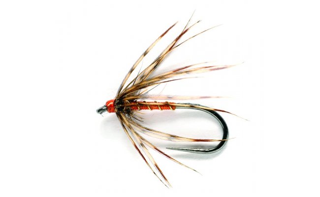 Spider Partridge & Orange Spider Partridge & Orange, Size 14