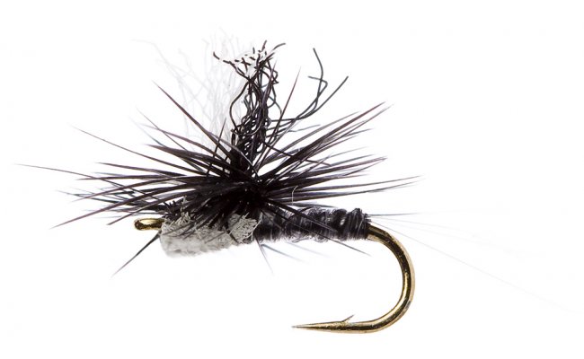 Spinner Black Spinner Black, Size 16