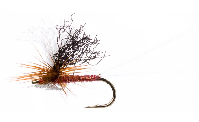 Spinner Blood Spinner Blood, Size 16