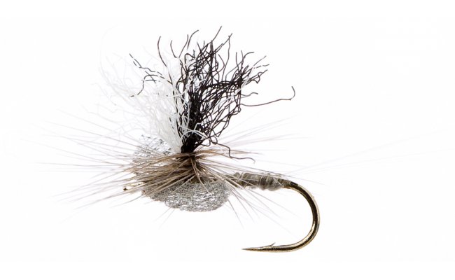 Spinner Olive Spinner Olive, Size 16