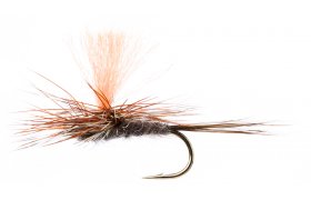 Spot-On Adams Para Spot-On Adams Para, Size 16