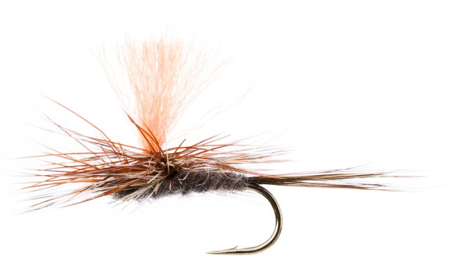 Spot-On Adams Para Spot-On Adams Para, Size 16