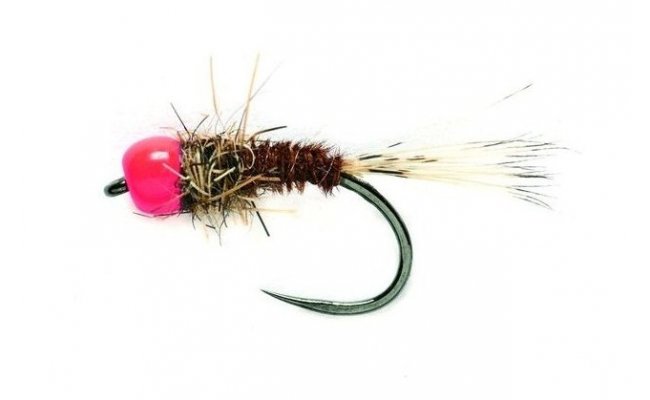 SR Pink Head Mary SR Pink Head Mary, Size 14