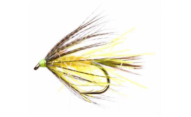 Straggler U.V. Sunburst Straggler U.V. Sunburst, Size 10