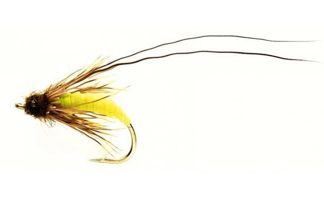 Struggling Sedge Green Struggling Sedge Green, Size 10