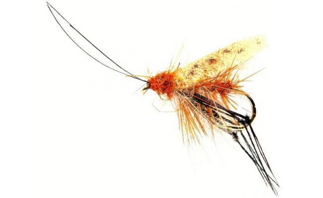 Taff's Caperer Taff's Caperer, Size 8