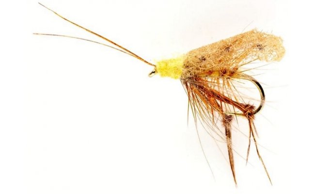 Taff's Cinnamon Sedge Taff's Cinnamon Sedge, Size 12